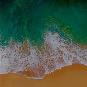 Meet your Posher, Cam